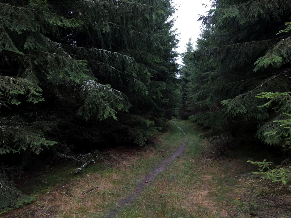 Jedna z nej běžeckých tras kolem Svratky