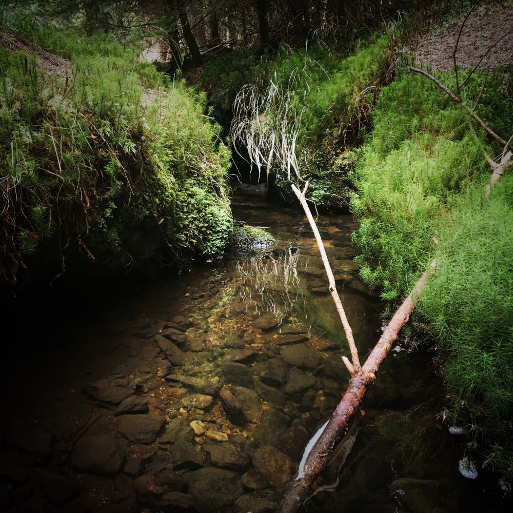 Cyklozastávka nad Křižánkama