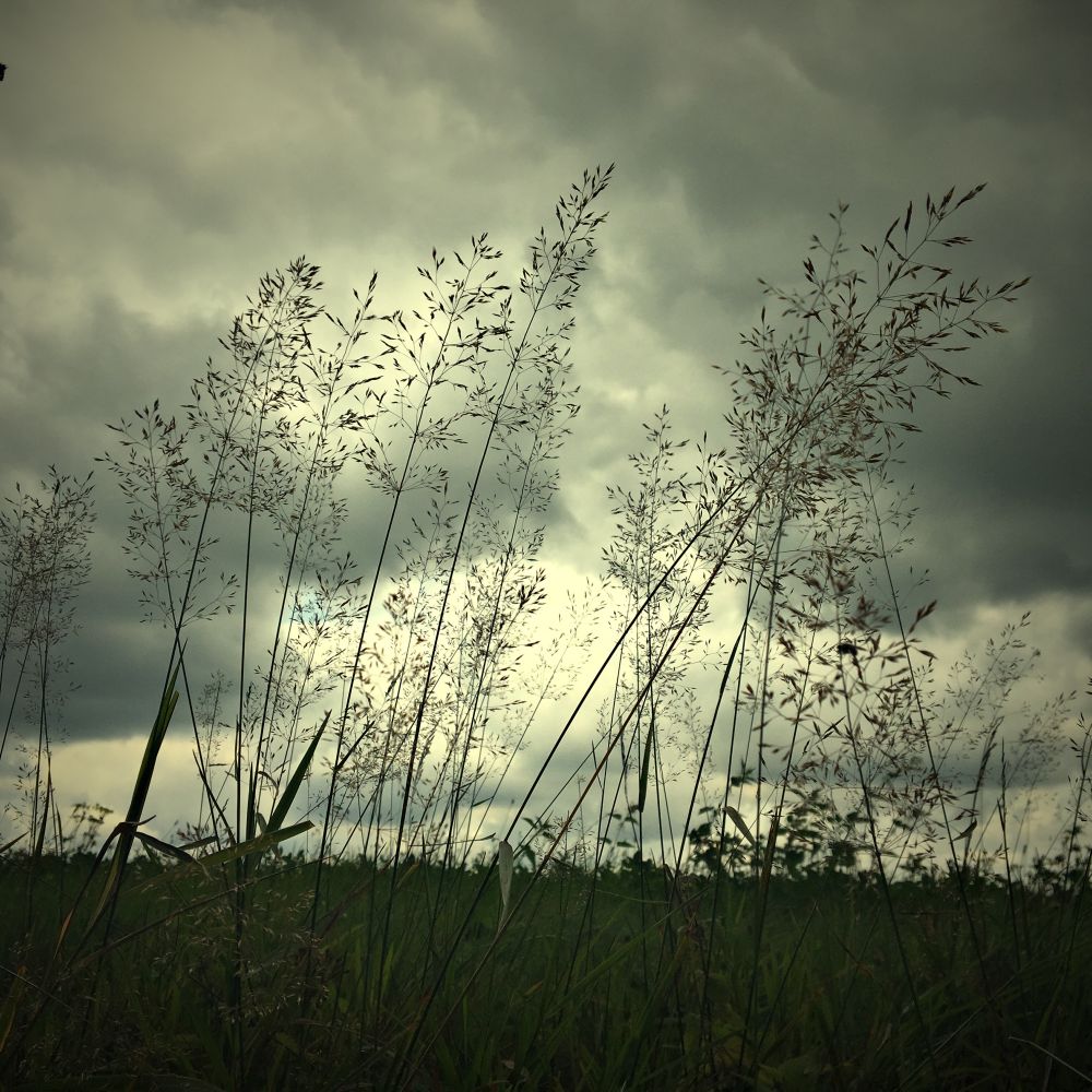 Hraju si s foťákem