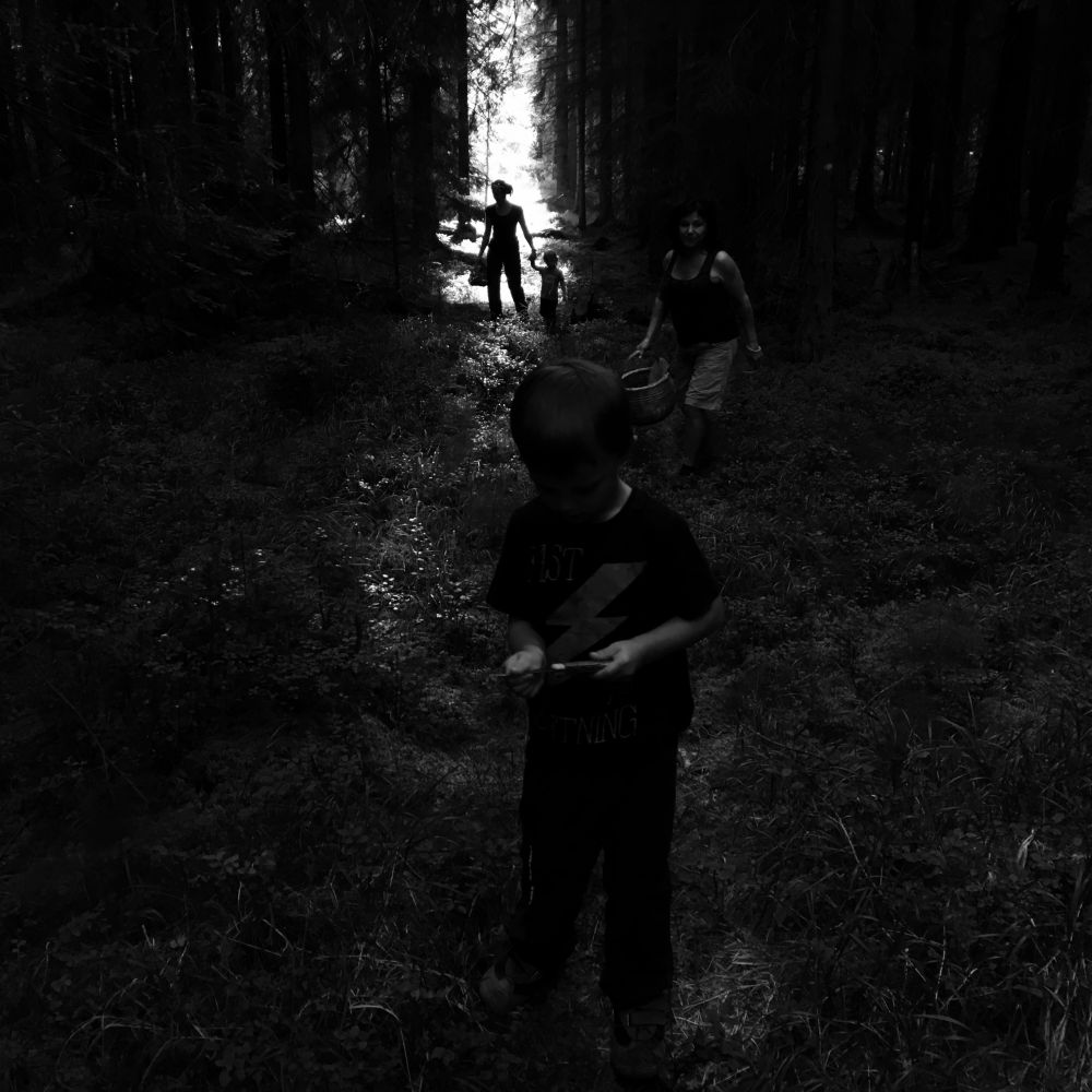 Na houbách u Krejcaru