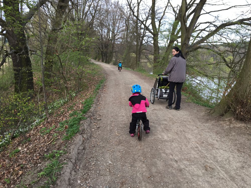 Prochajda kolem Jedovnic