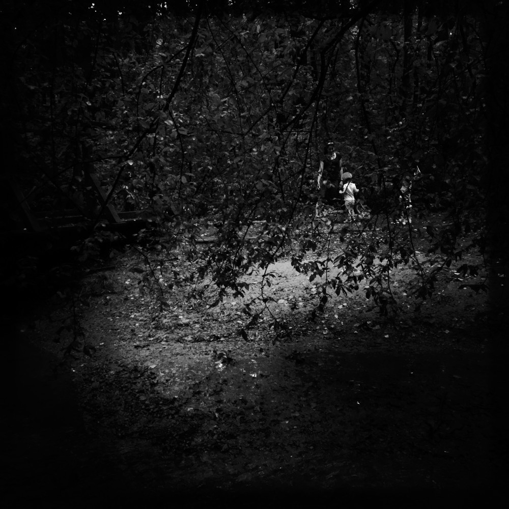 Jedna temná z lesoparku na závěr