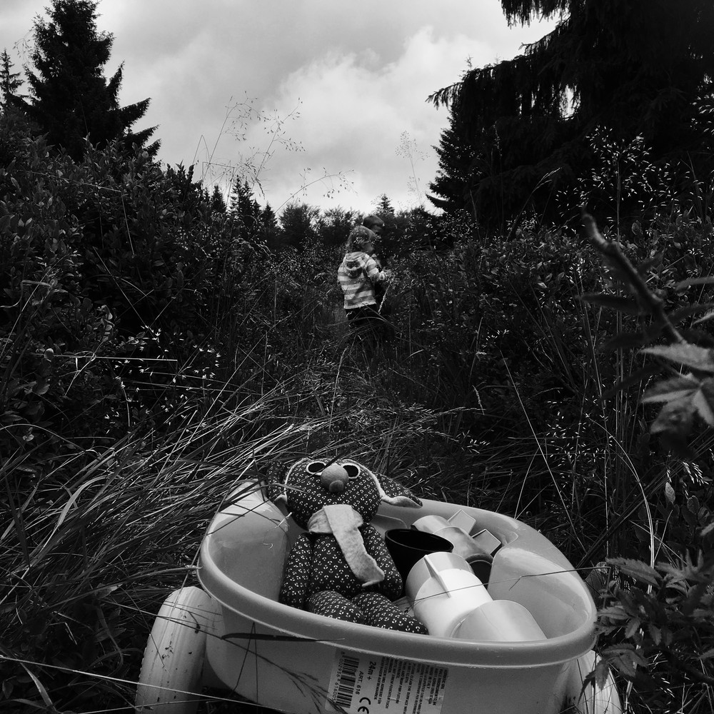 Výprava na borůvky