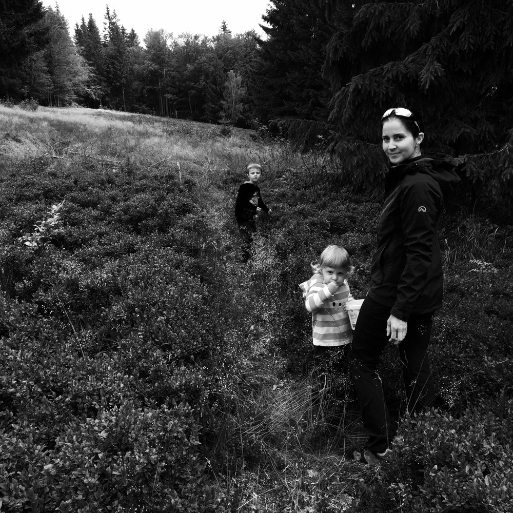 Sbíráme za kadibudkou