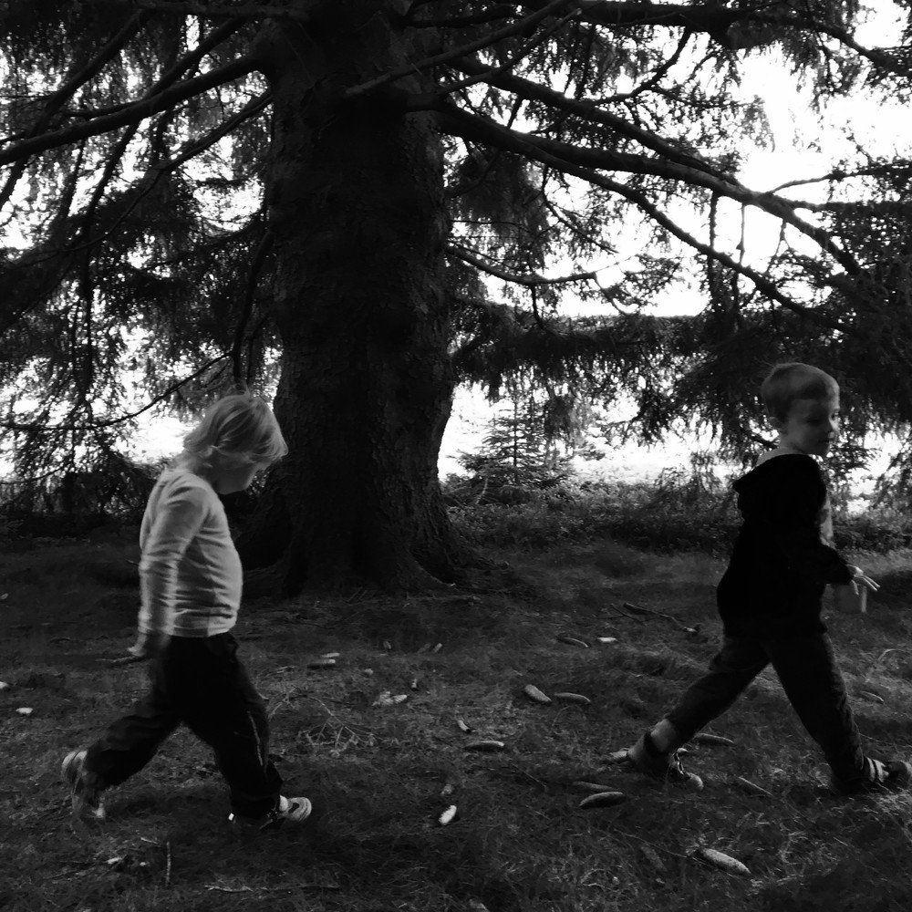 Dva skřítci jdou lééééseééém ...