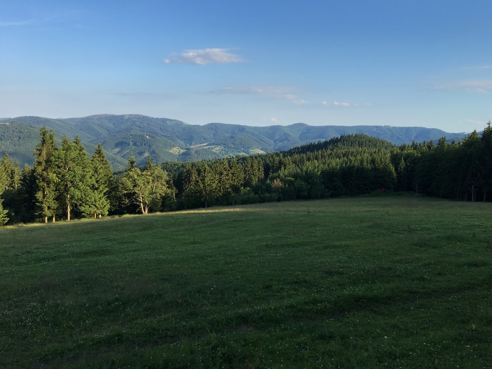 Večerní výběh na Slavíč