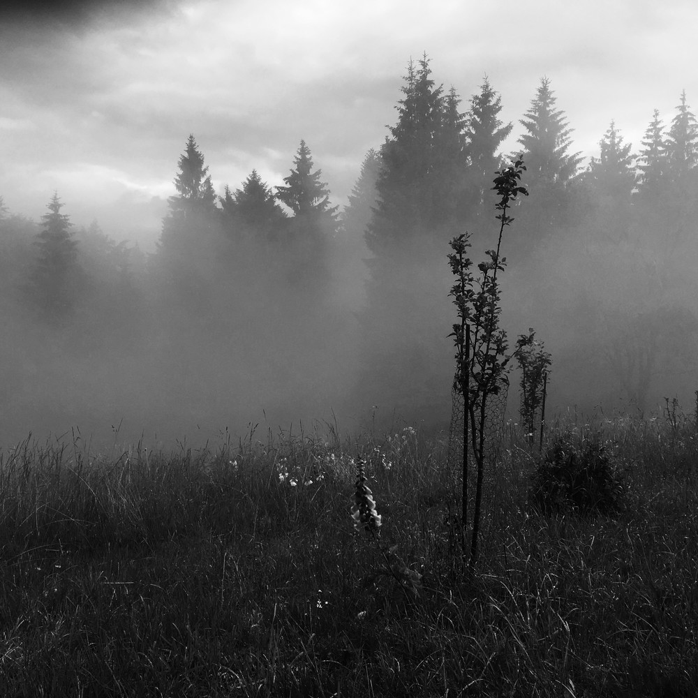 Po dešti pod chatou