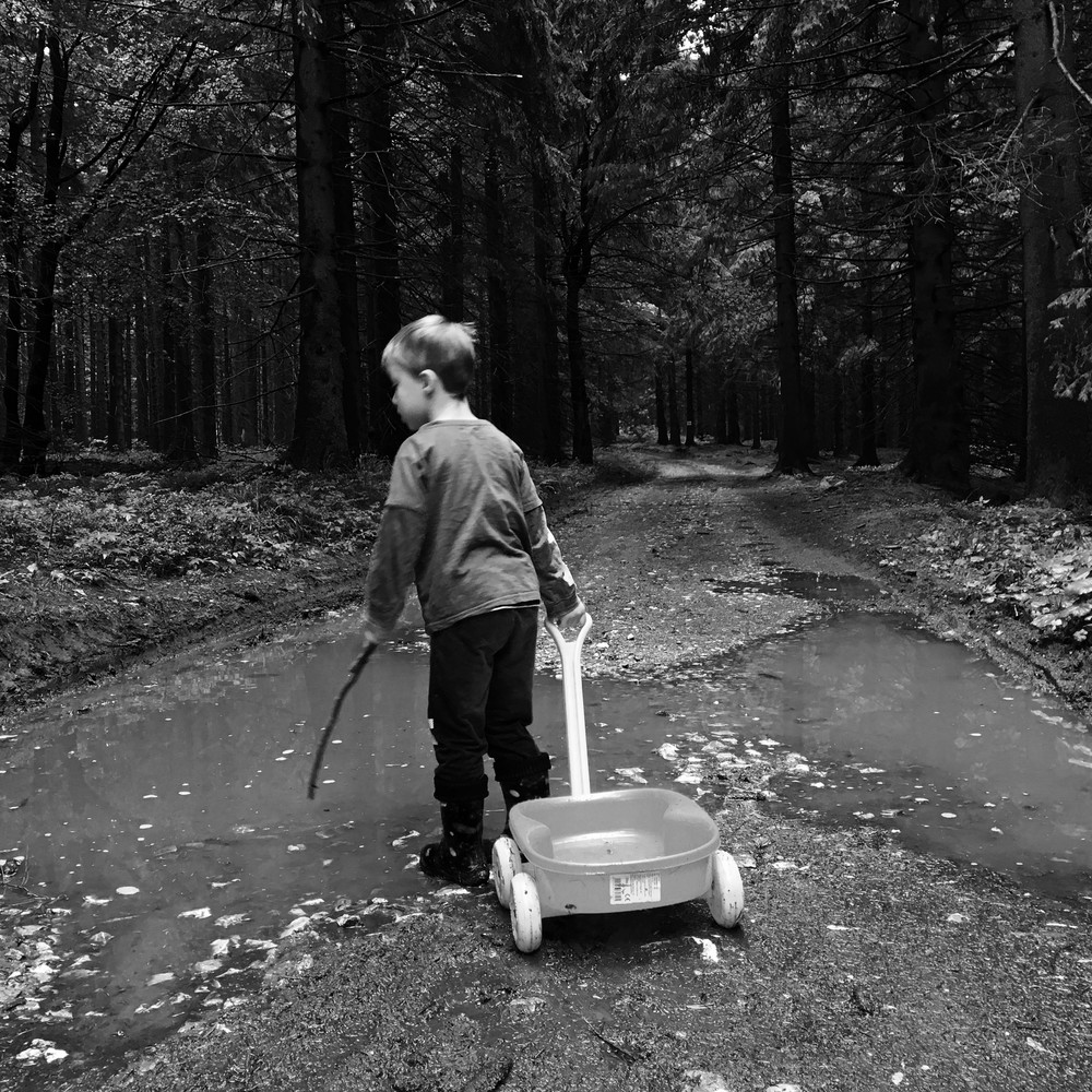 Výprava za traktorem