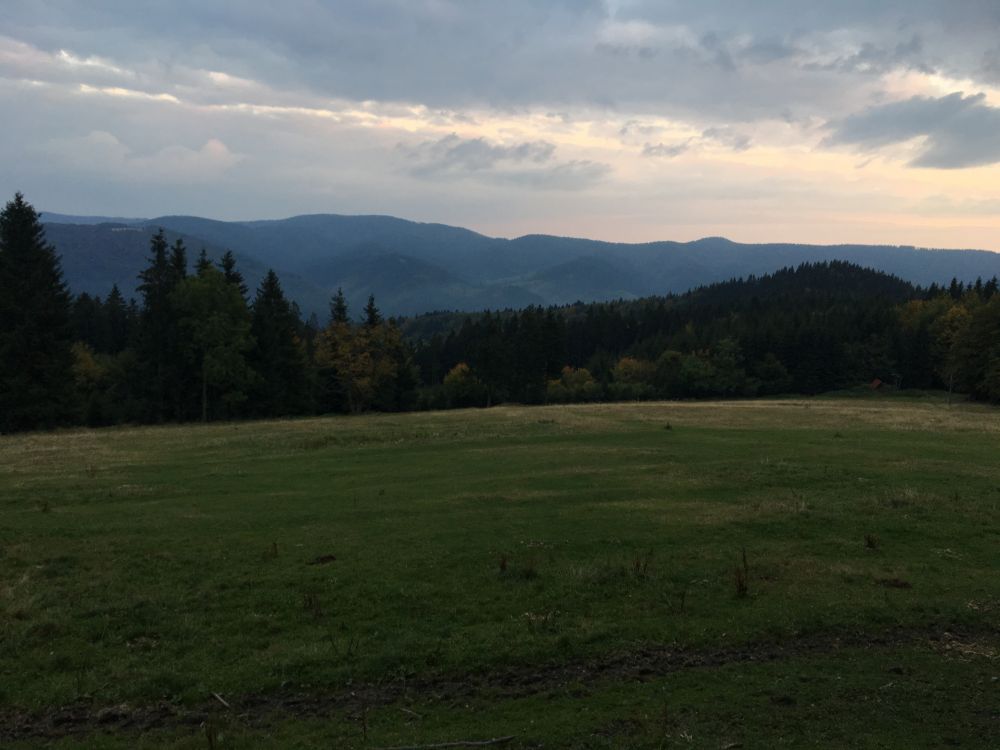 Večerní výběh na Slavíč