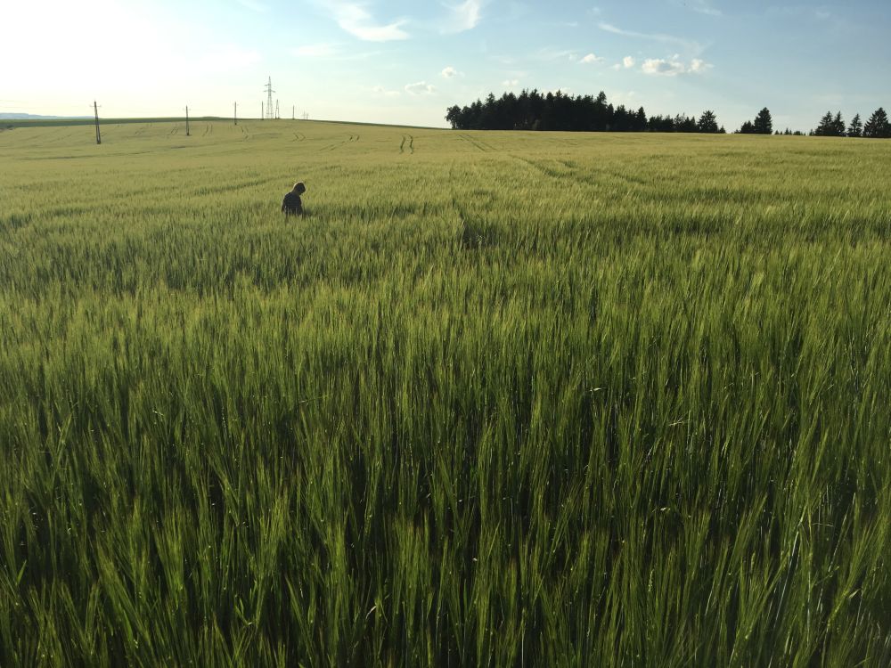 Zastávka cestou do Svratky