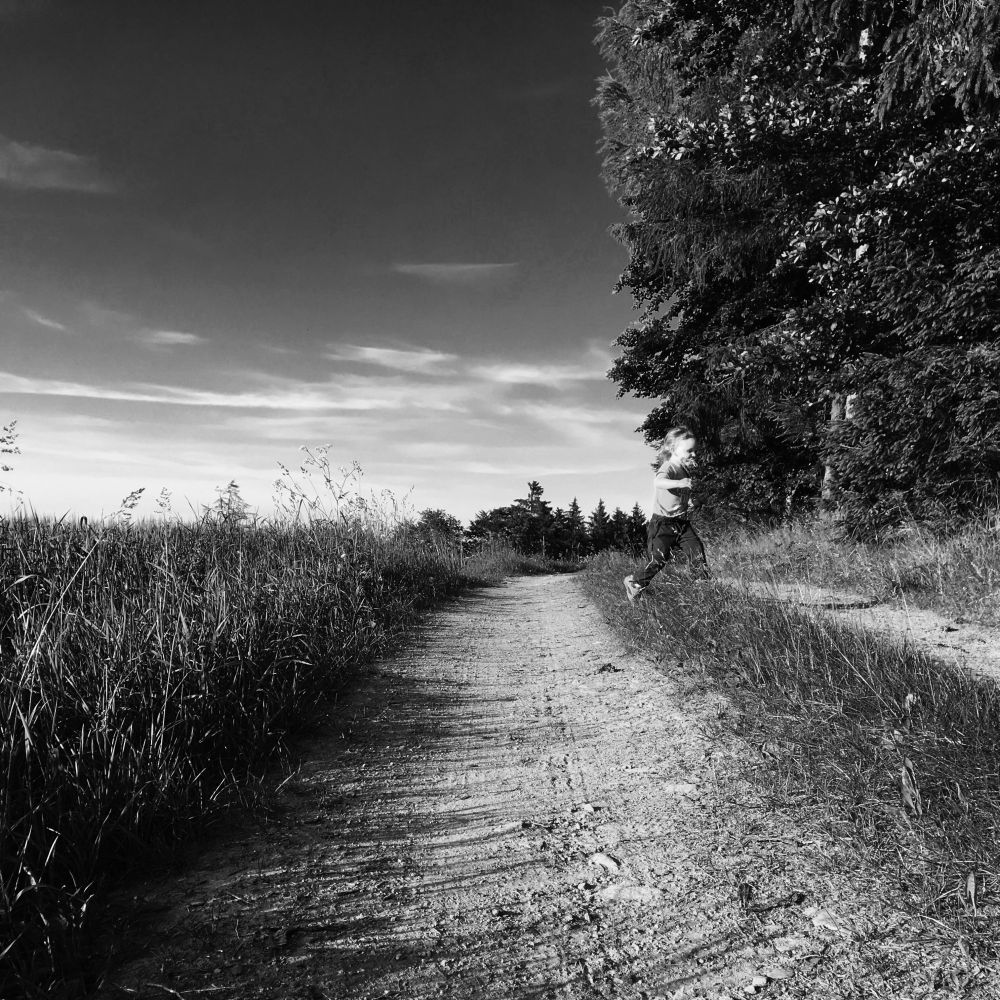 Příště si sem vezmem kola