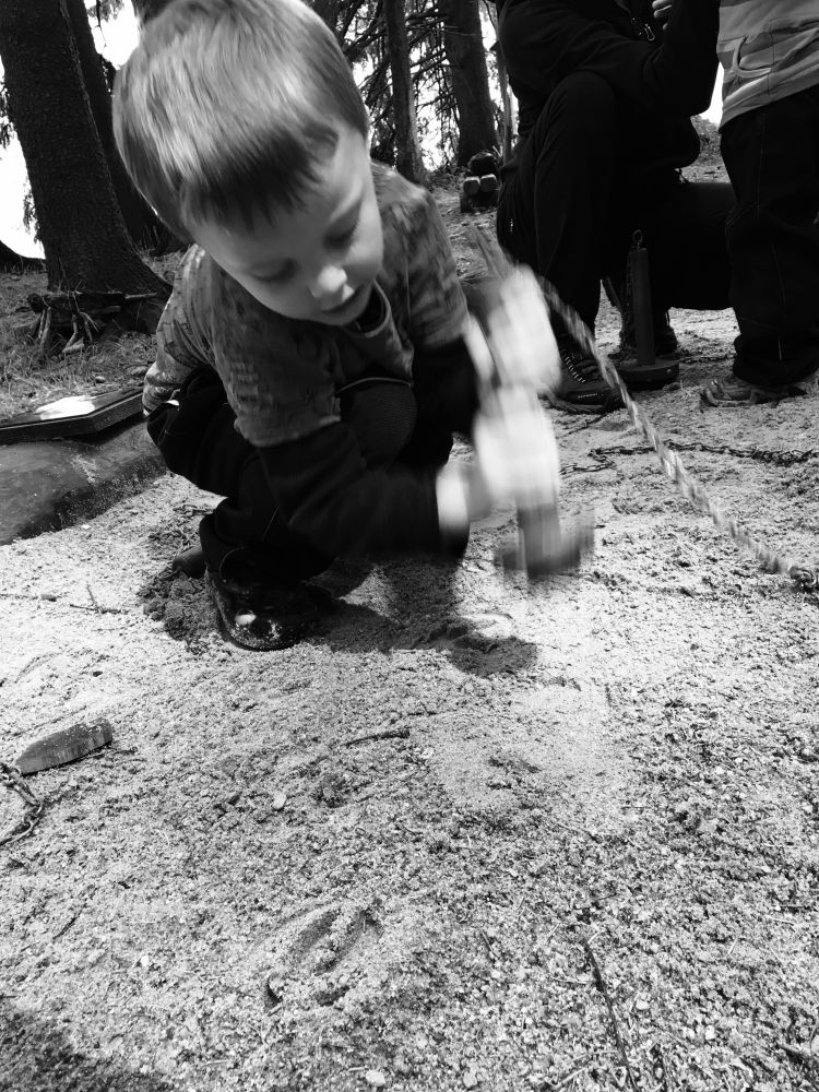 Buch a máme otisk divočákovy nohy