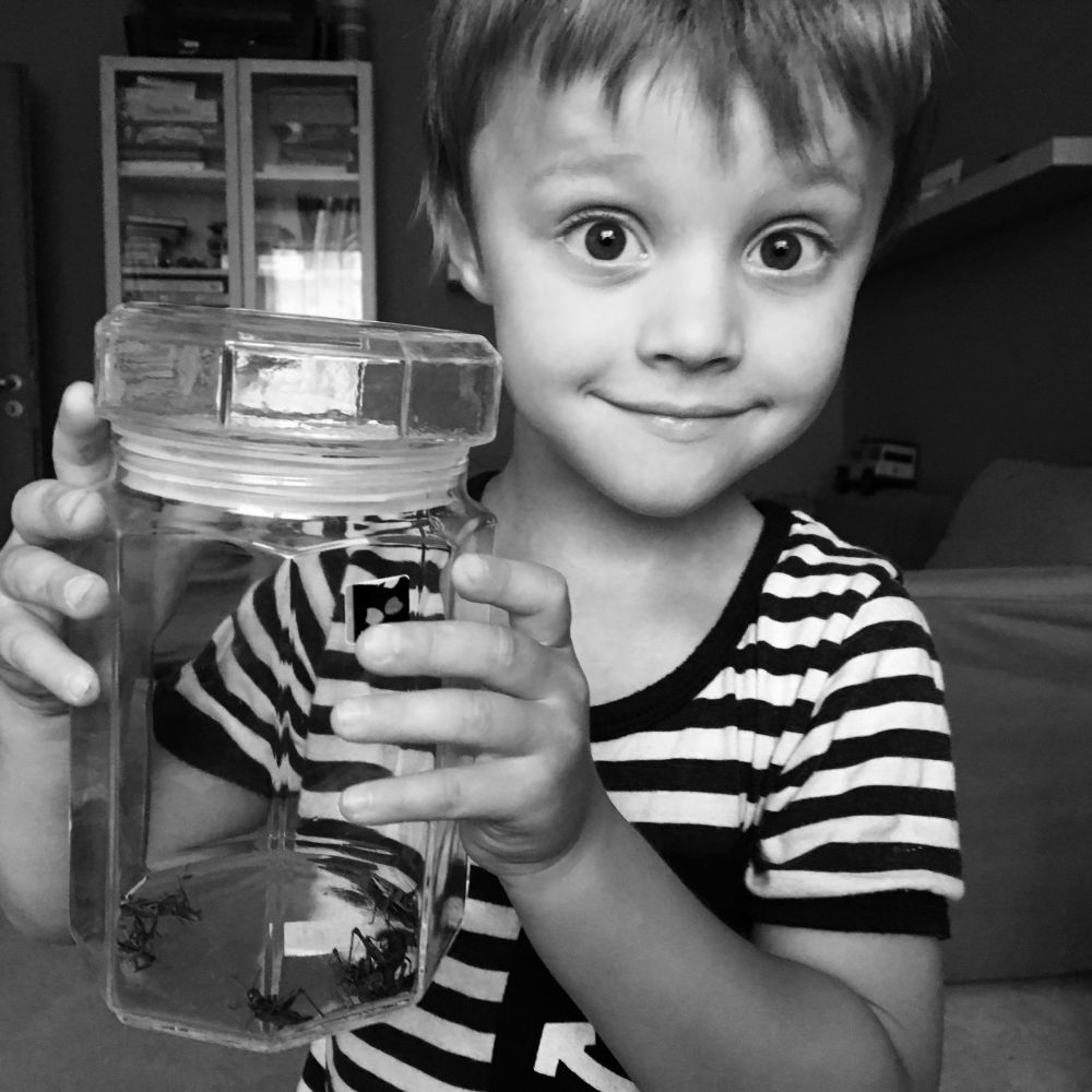 Nová záliba - chytání lučních koníků