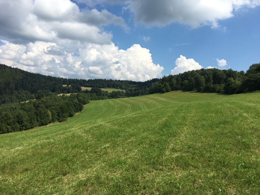 Pohled směrem k Javorníkům