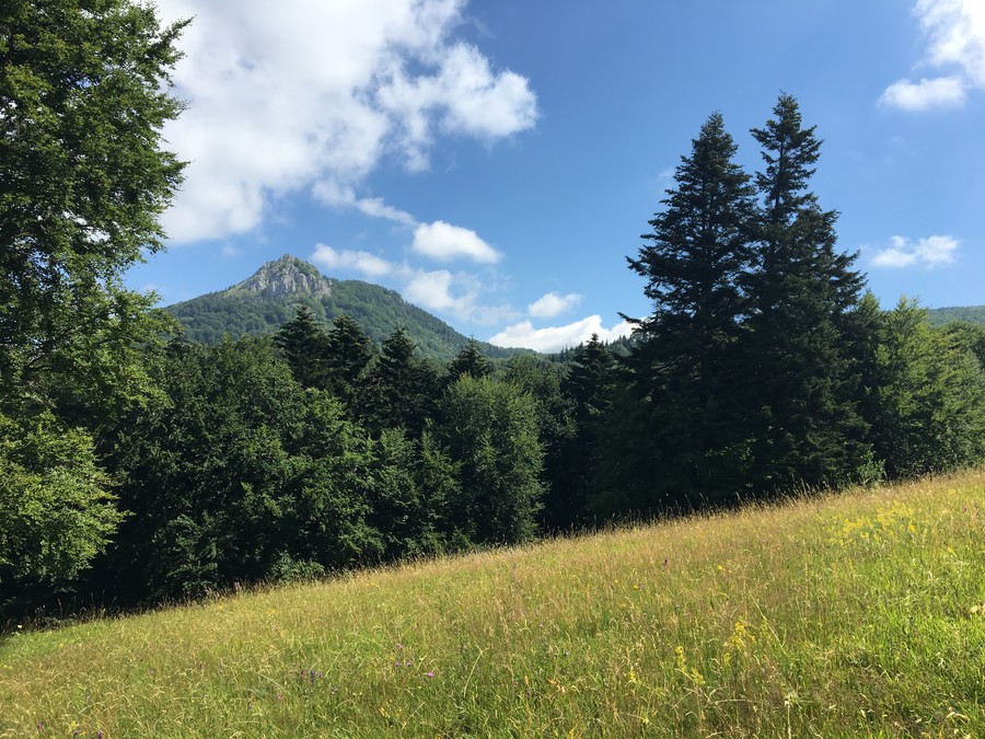 V sobotu běžím nahoru na Vápeč