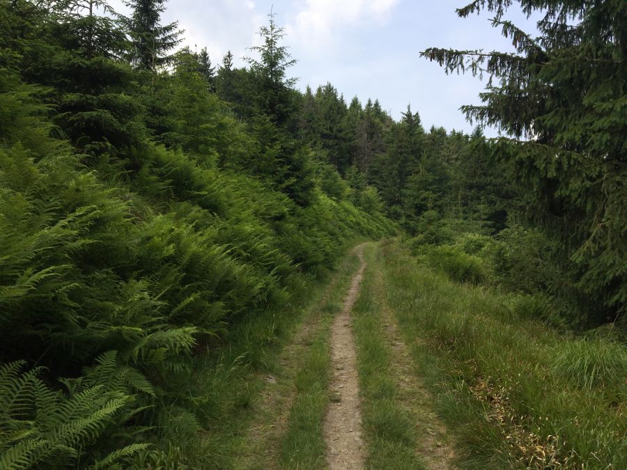 Traverz Velkého Lipového