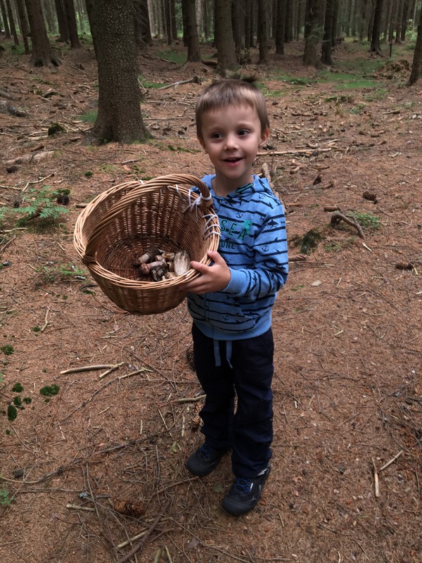 A samozřejmě houby, kde Mates vždy něco najde