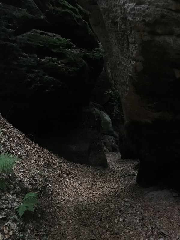 Večerní běh centrem Skaláku