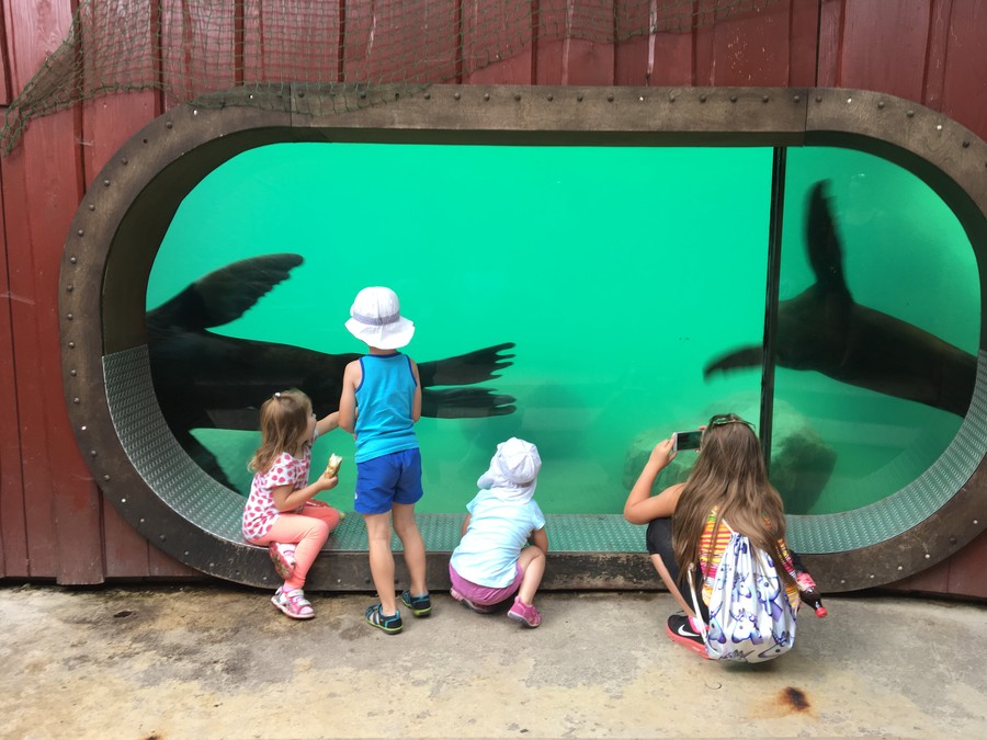 Tady jsme byli dlouho