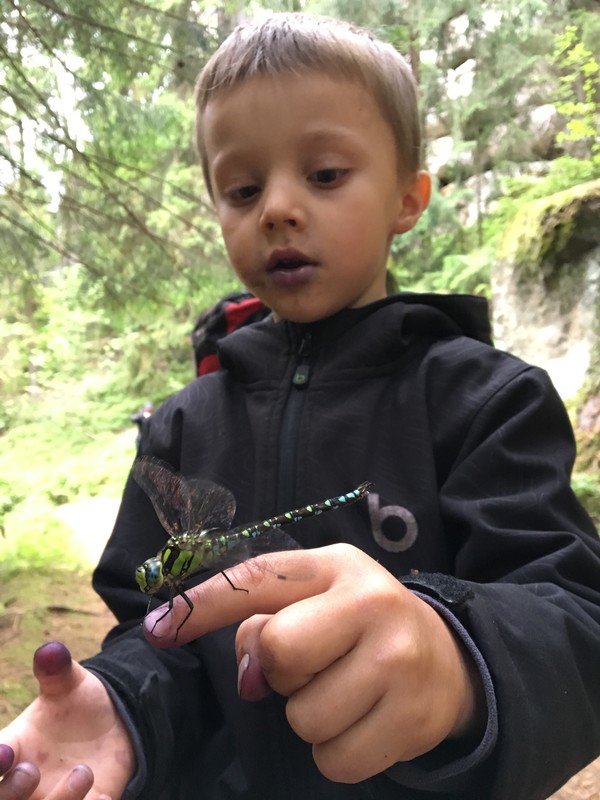 Jeden ze splněných snů - chytit vážku