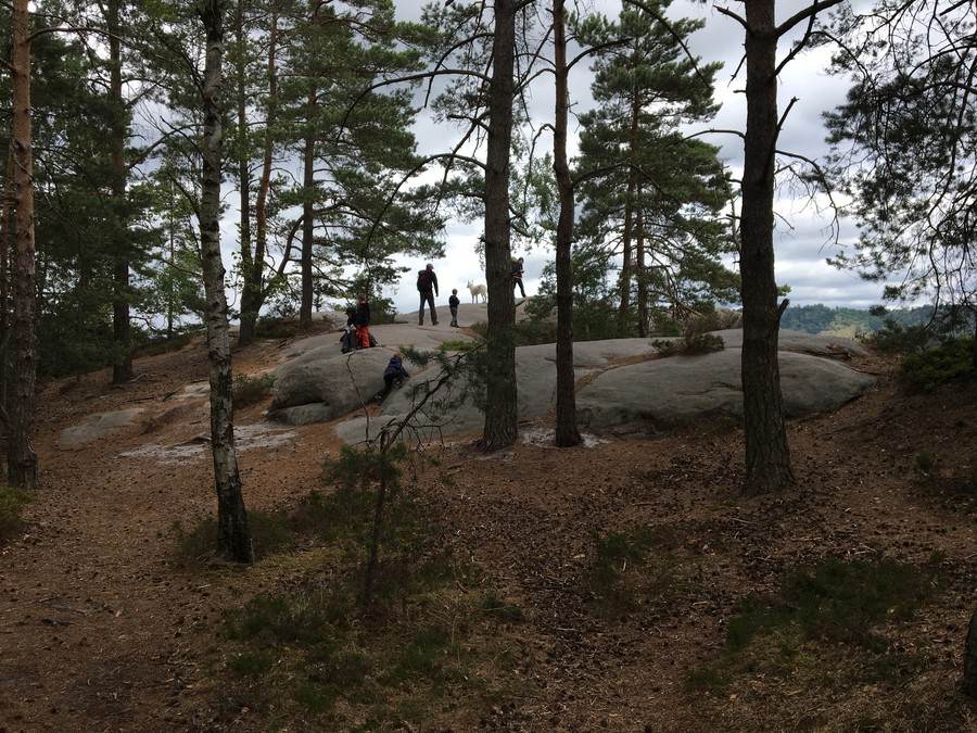 Naše smečka se blíží k pokladu