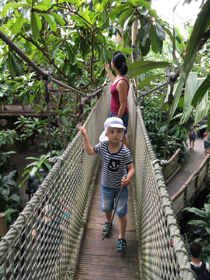 V opravdovém pralese