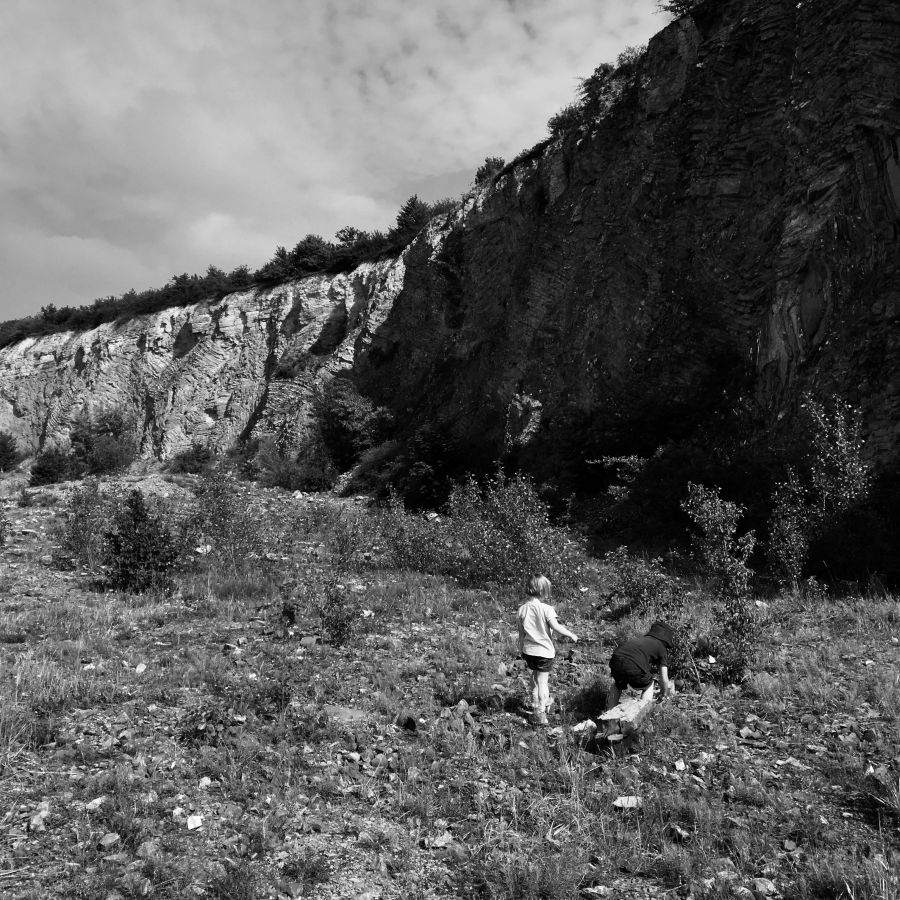 ... ale kobylky ano.