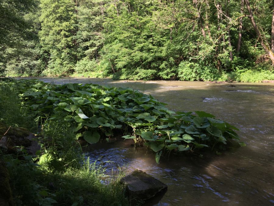 Soutěska za Boračí