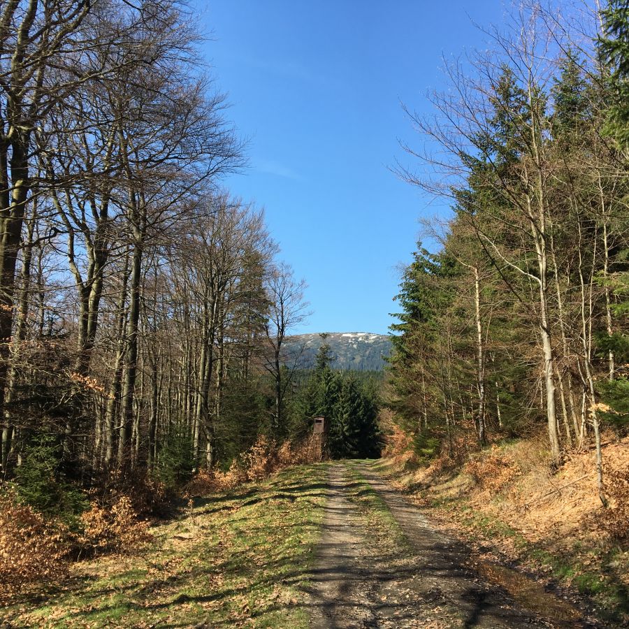 Na Kraličáku je ještě sníh