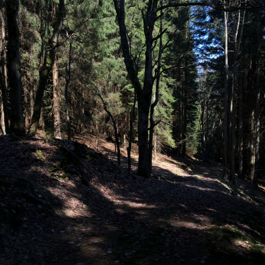 V sobotu jsem běžel sám