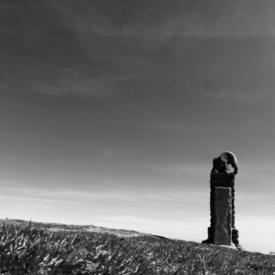 Po dlouhé době u slona