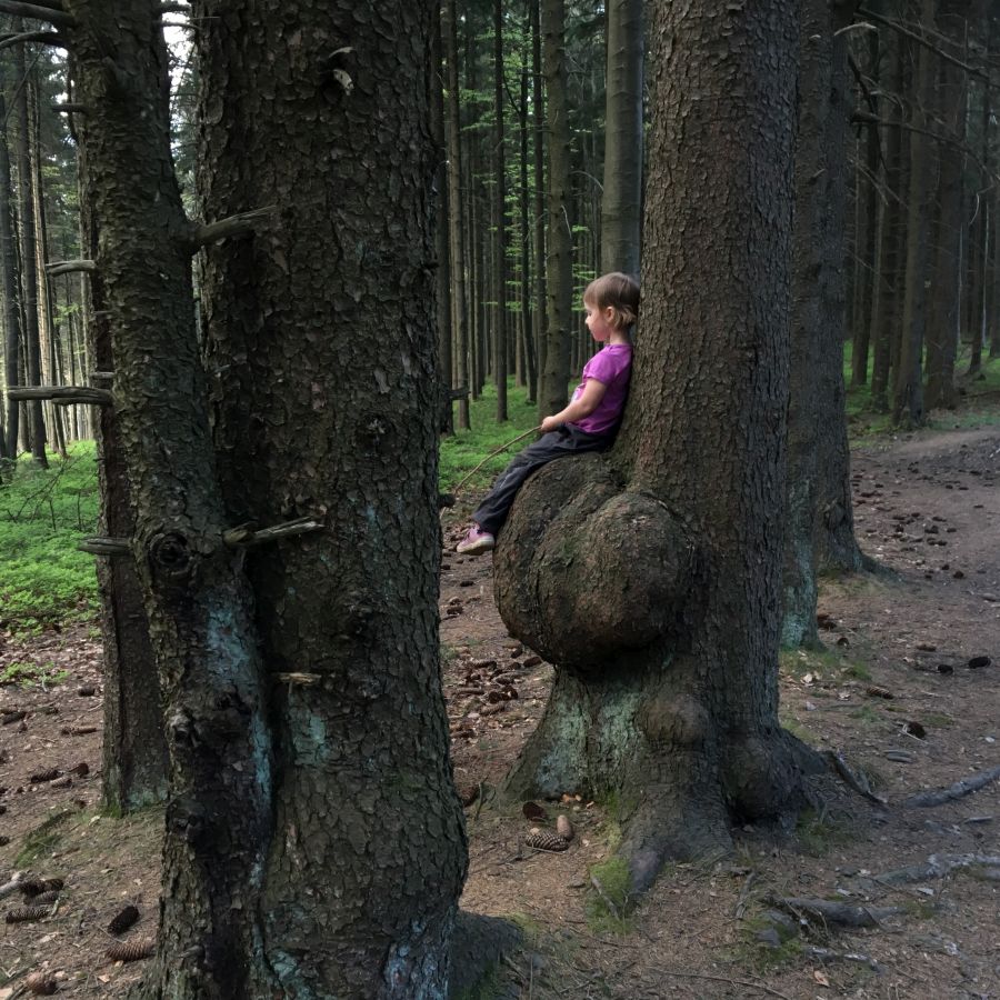 Stromy prý Adélce říkají "Ahoj"
