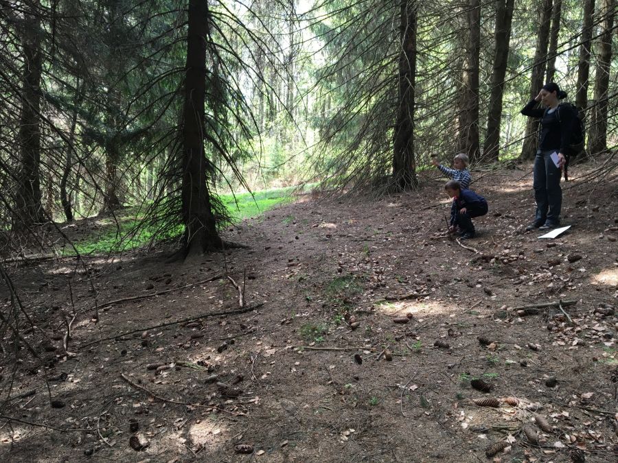 Házení šišek do cíle