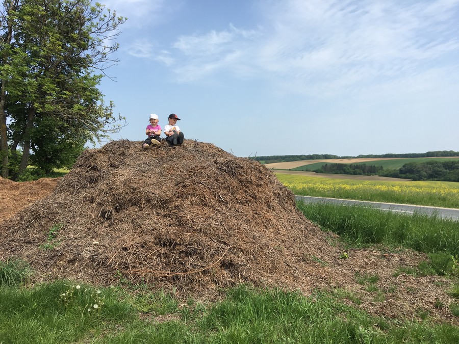 Bez atrakcí není pohybu vpřed