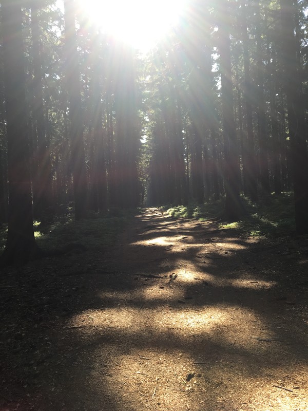 Uběhnuto 10km, pohodička