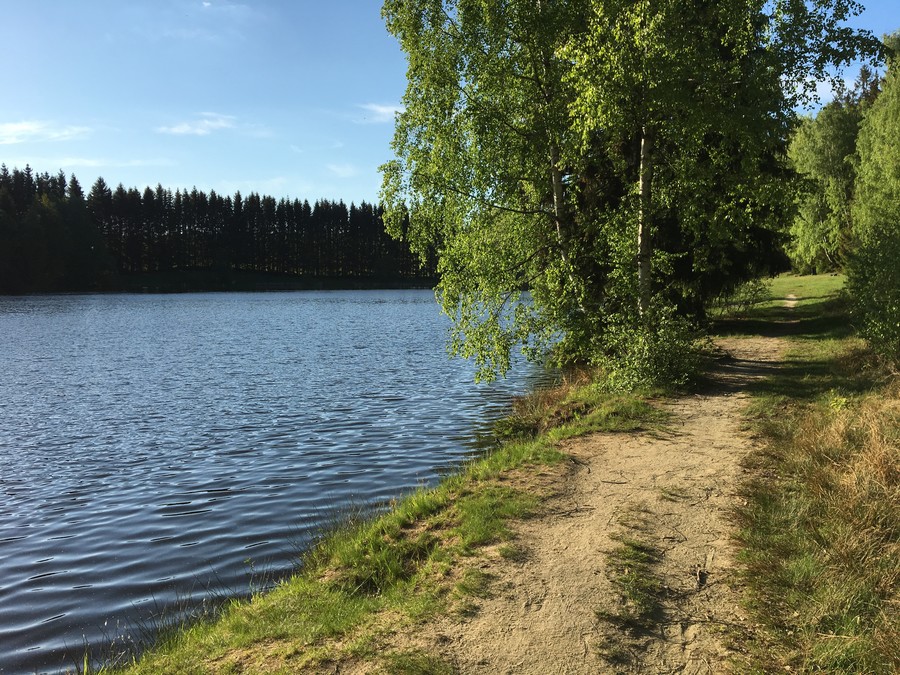 Večerní výběh kolem Svratouchu