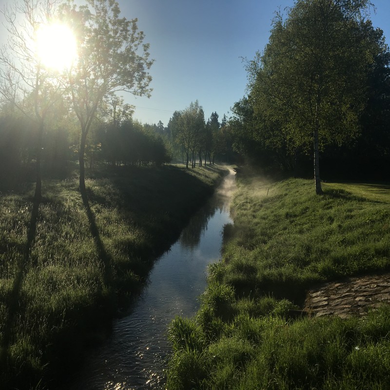 V pondělí ráno ...