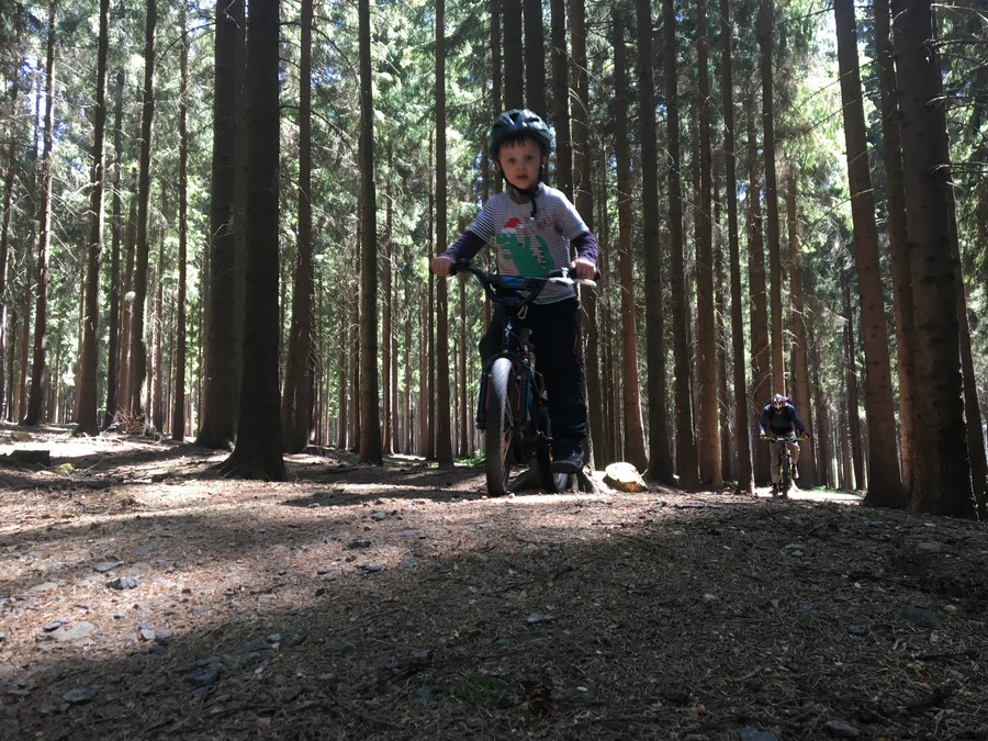 Po roce opět na cestičkách