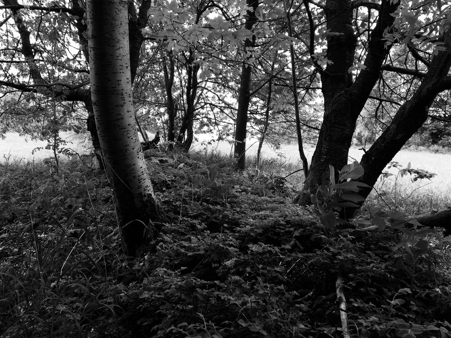 Taková místa mě baví