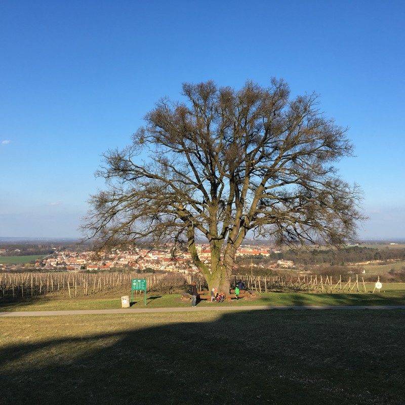 V Kámou ve Valticích