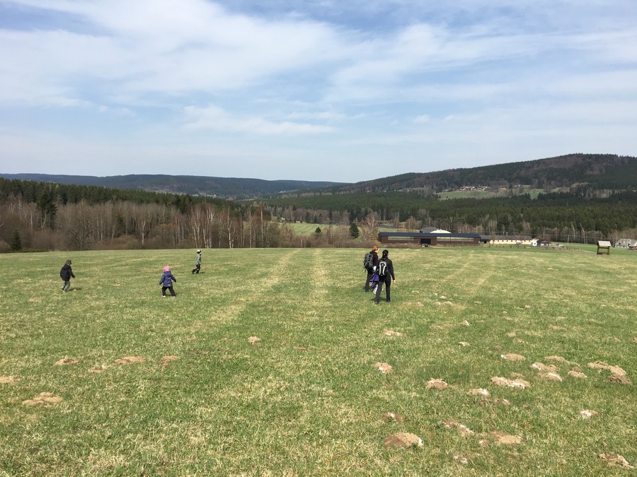 Každý svojí cestou