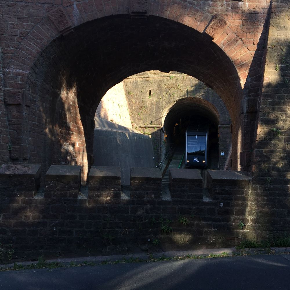 Někdo běží, někdo jede zubačkou