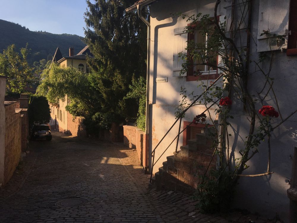 Návrat do starého města