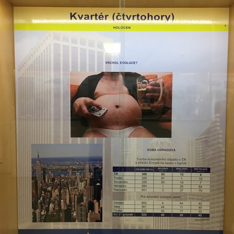 K zamyšlení a pousmání?