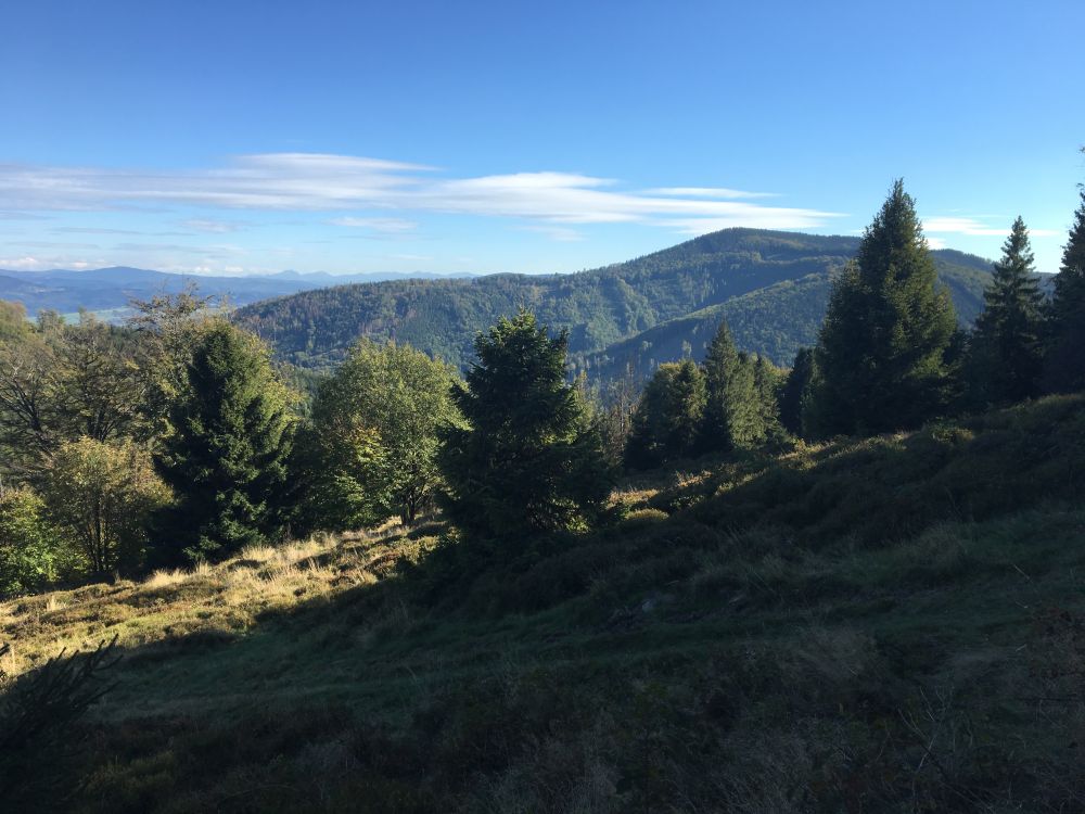 Na Zarembku, znovu objevuji bikování