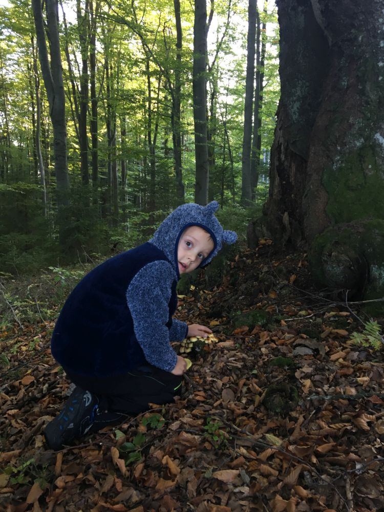 Mates a houby, nerozlučná dvojka