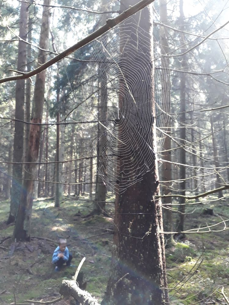 Matýsek na houbách