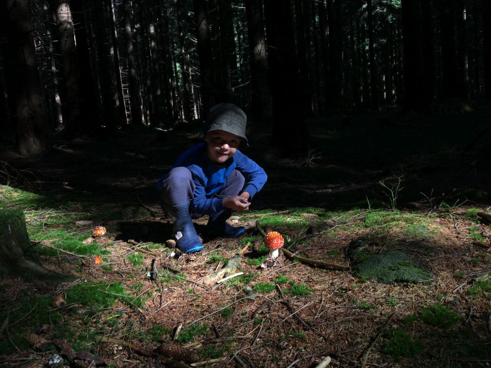 V neděli jsem šel s Matýsekm k Devíti skalám