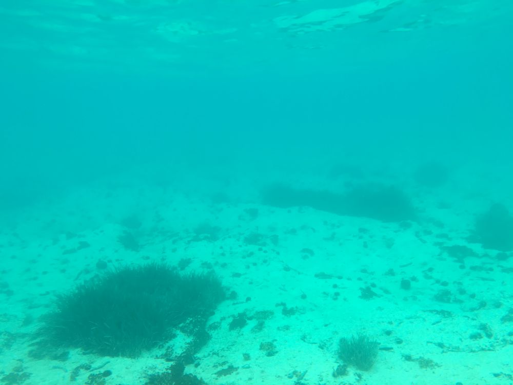 Výhledy skoro stejné jako při šnorchlování