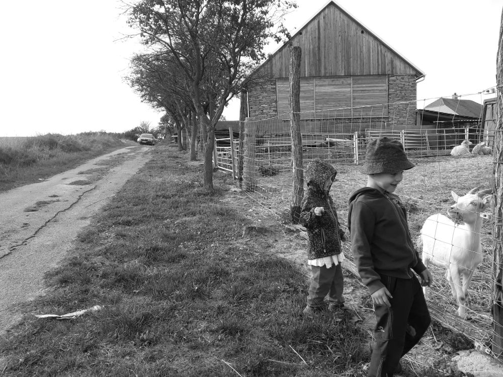 Po pár metrech stojíme a krmíme